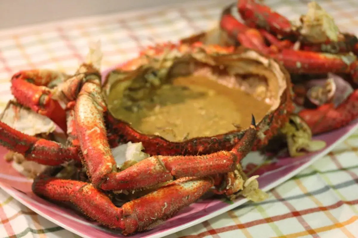 Centolla cocida con sus huevas, lista para disfrutar. Sus patas rojas y su caparazón lleno de sabor la hacen irresistible.