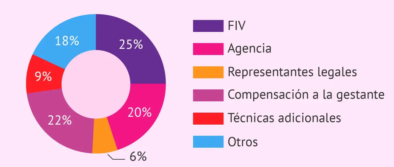 Gráfico circular muestra desgloses de cuanto cuesta un parto en España: FIV (25%), Agencia (20%), Compensación gestante (22%), Otros (18%), Técnicas adicionales (9%), Representantes legales (6%).