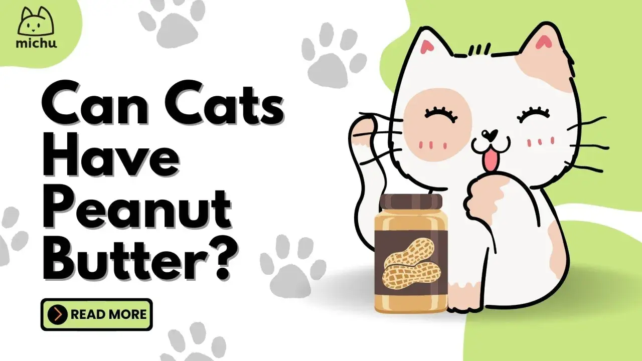 A cute cat asks "Can cats have peanut butter?" next to a jar of peanut butter.