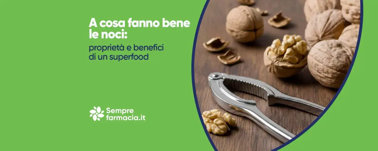 Noci e schiaccianoci su un tavolo di legno. Mangiare noci alla sera fa bene.