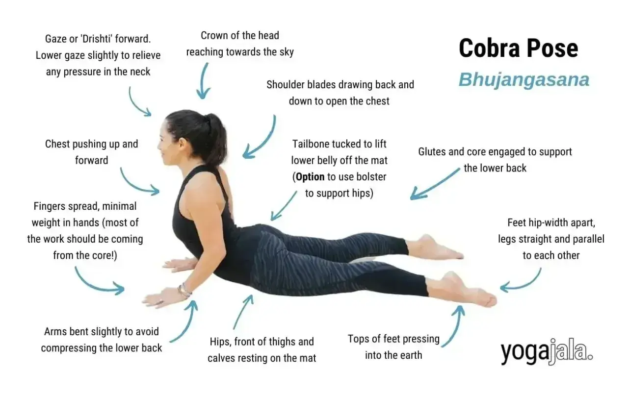 Kobieta w pozycji kobry joga (Bhujangasana). Klatka piersiowa uniesiona, ramiona lekko ugięte, nogi proste.