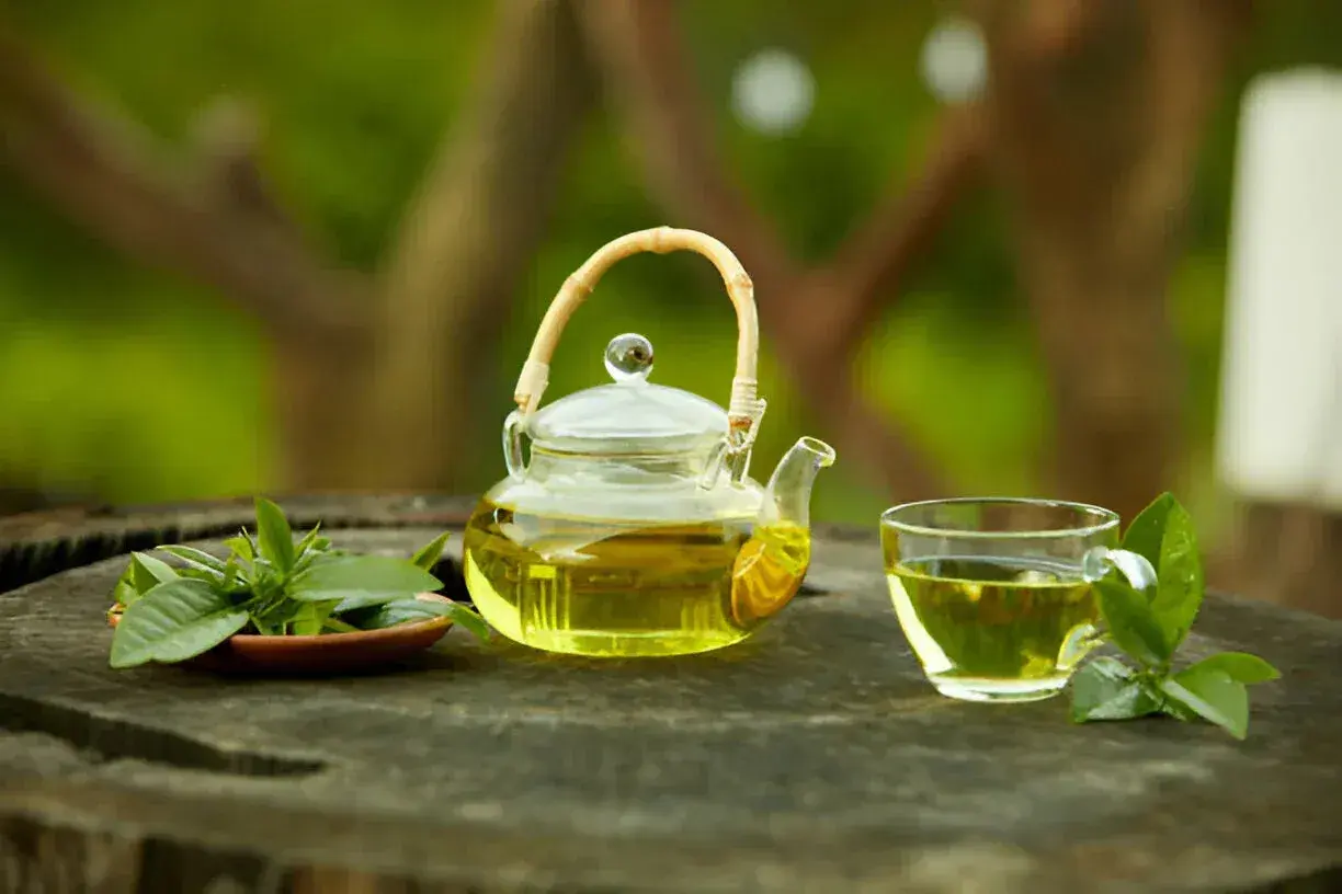 Tetera de cristal con té verde y hojas frescas. Descubre para qué sirve el té verde y sus beneficios.