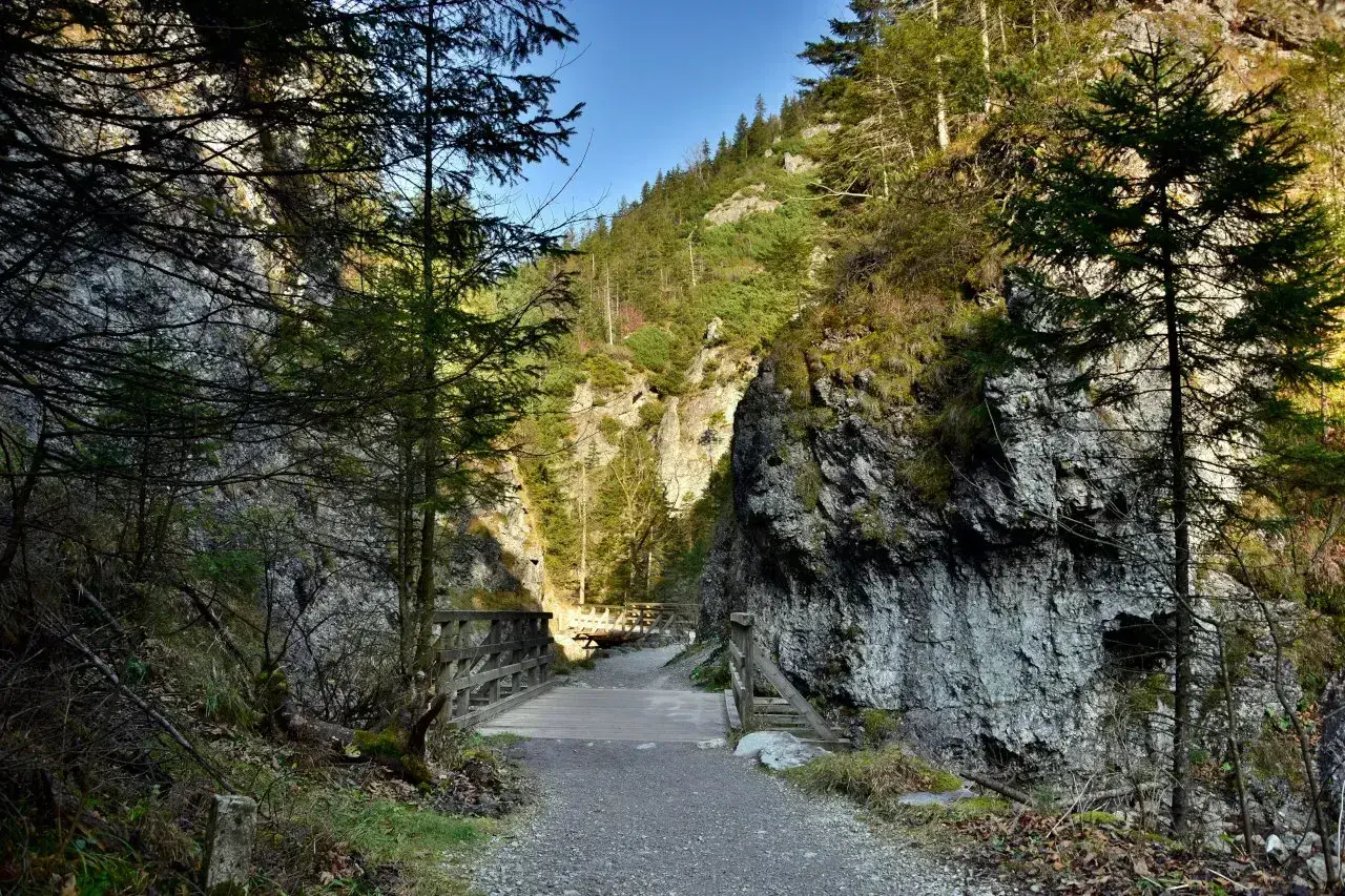 Kamienista ścieżka prowadzi przez wąwóz do drewnianego mostku. Idealne zakopane trasy dla seniorów, by podziwiać przyrodę.