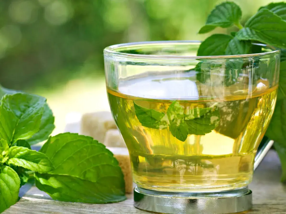 Erfrischender Minztee im Glas, mit frischen Minzblättern und Zuckerwürfeln. Was ist Minze? Ein belebender Genuss.