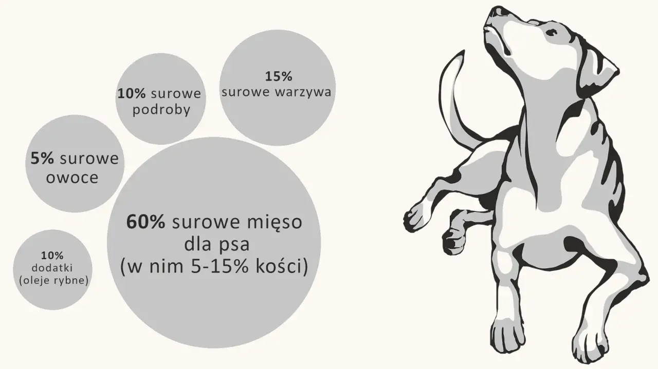 Przepis na barf dla psa: 60% mięsa, 15% warzyw, 10% podrobów, 5% owoców, 10% dodatków (oleje rybne).