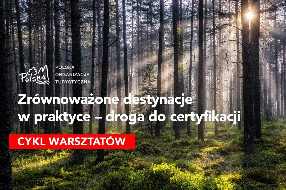 Promień słońca przebija się przez las, oświetlając ścieżkę. Temat: turystyka zrównoważona przykłady. Cykl warsztatów.