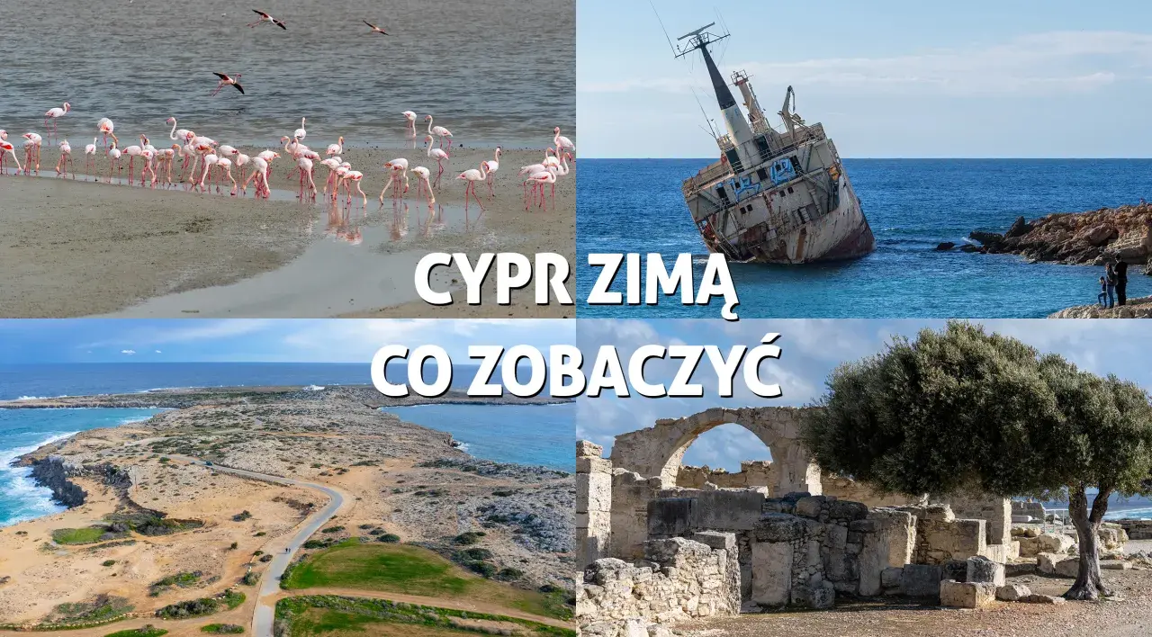 Cypr zimą: flamingi, wrak statku, wybrzeże i ruiny. Pogoda w lutym sprzyja zwiedzaniu.