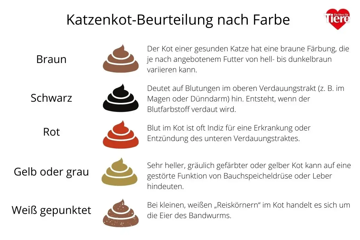 Illustrationen von Katzenkot in verschiedenen Farben (braun, schwarz, rot, gelb/grau, weiß gepunktet) mit Erklärungen zu deren Bedeutung für die Katzengesundheit.