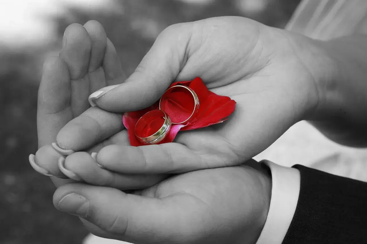 Dłonie trzymają płatek róży z obrączkami. Czy nauki przedmałżeńskie są obowiązkowe?