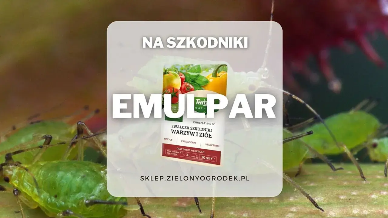 Emulpar 940 EC zwalcza mszyce i inne szkodniki warzyw i ziół. Termin stosowania: cały okres wegetacji.