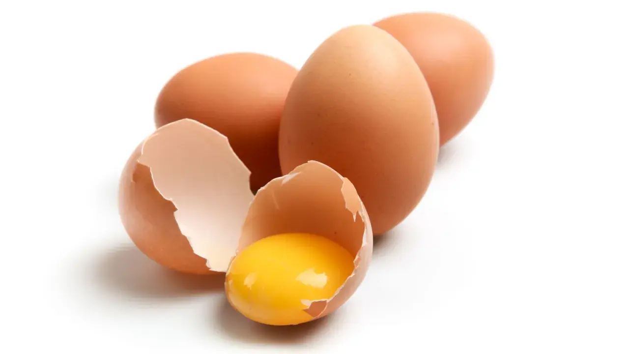 Huevos marrones, uno roto mostrando la yema brillante. ¡Un manjar que los perros pueden comer!