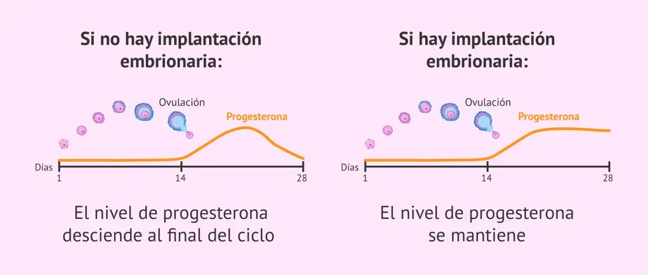Gráfica muestra cómo el nivel de progesterona desciende si no hay implantación, pero se mantiene si hay implantación, clave para como aumentar la progesterona.