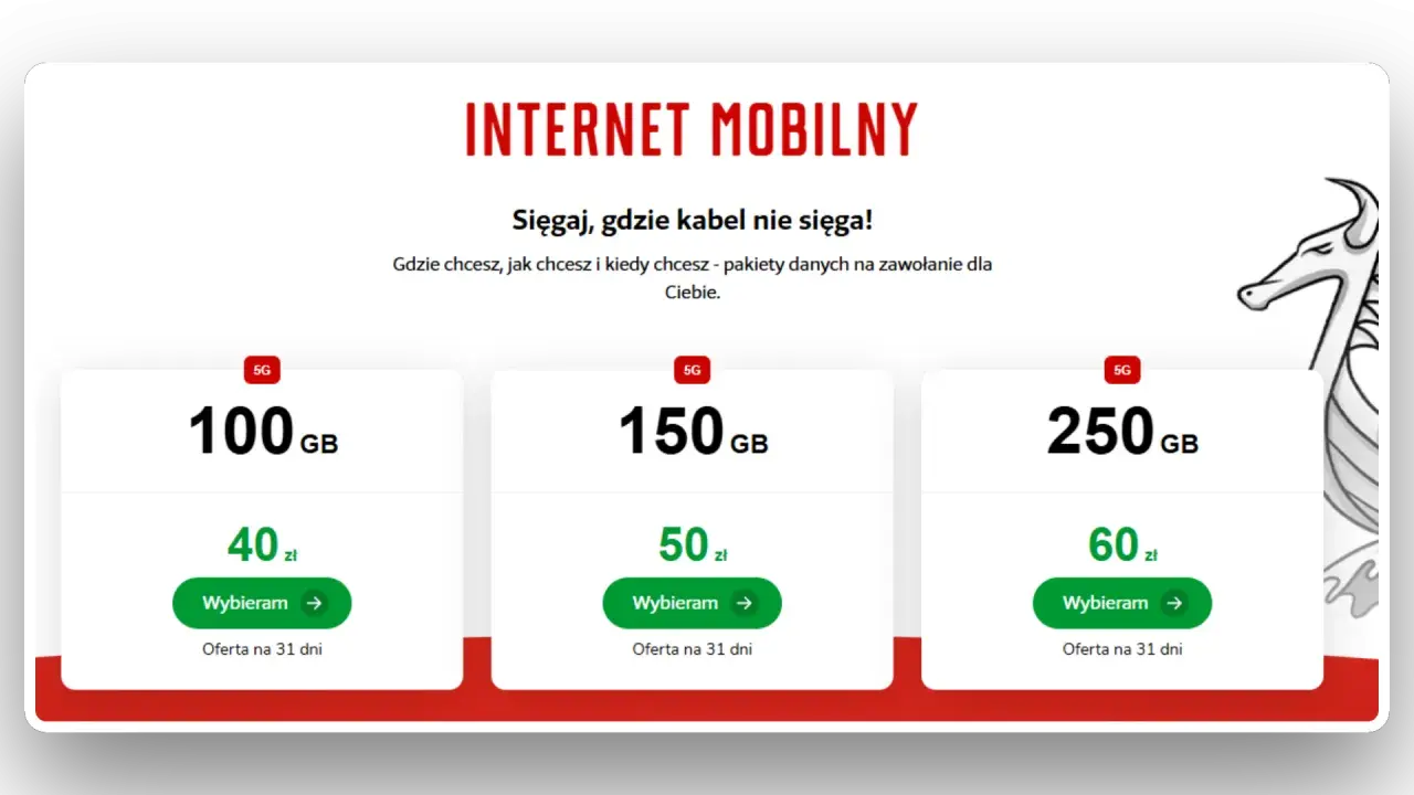 Oferty mobilnego internetu 5G: 100 GB za 40 zł, 150 GB za 50 zł, 250 GB za 60 zł. Czy 10 GB internetu to dużo? Te pakiety to dużo danych!