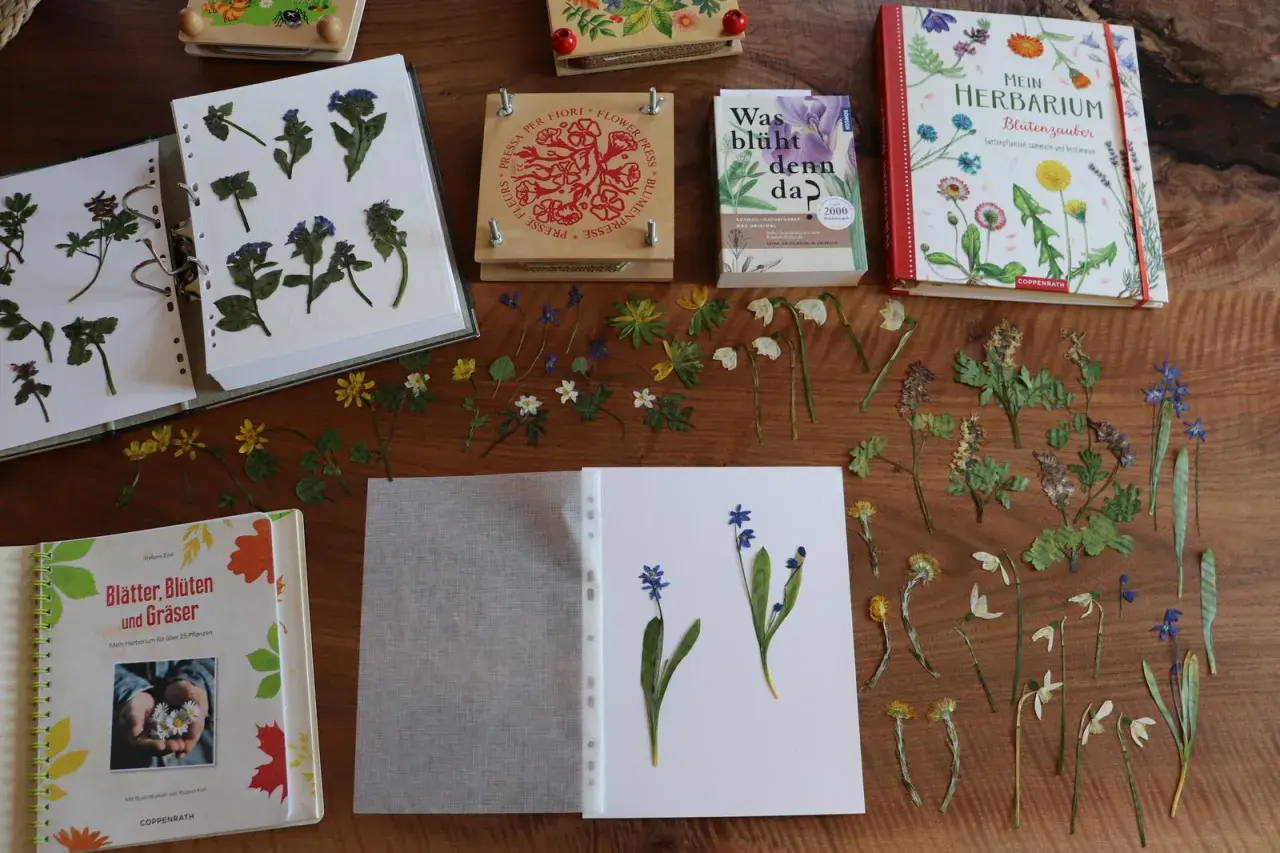 Trockenblumen und ein Buch zum **Herbarium anlegen** liegen bereit. Kleine Blüten und Blätter warten darauf, in ein Buch geklebt zu werden.