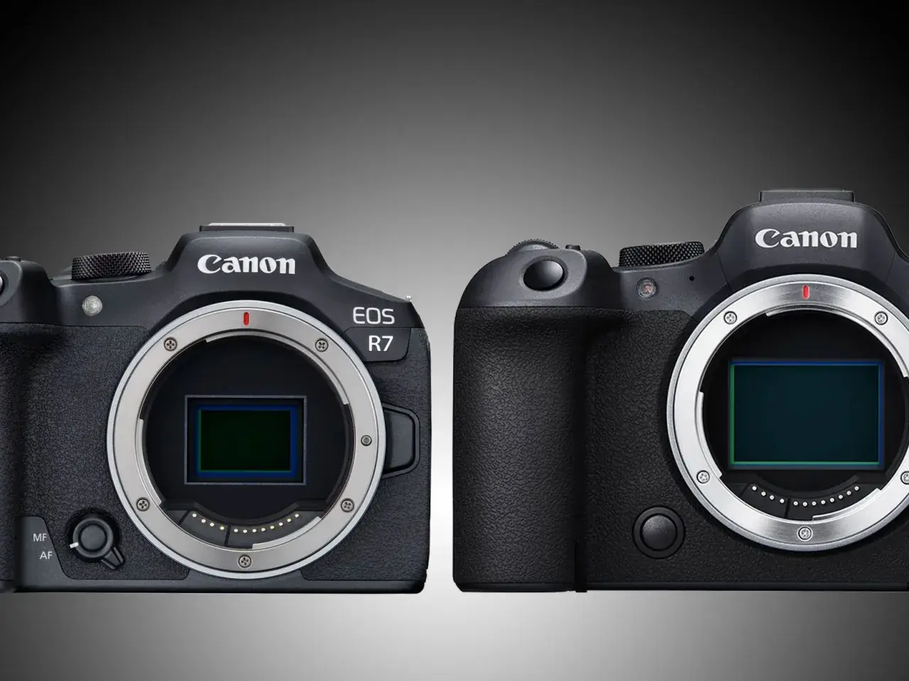 Due corpi macchina Canon EOS R7 e un altro modello Canon EOS a confronto, con sensori visibili.