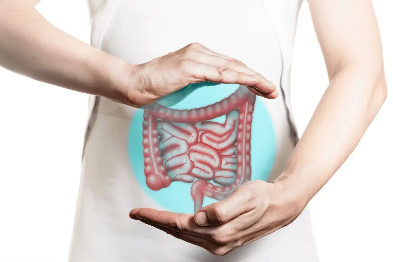 Mani proteggono un'illustrazione dell'intestino, suggerendo che i diverticoli possono sparire con le giuste cure.