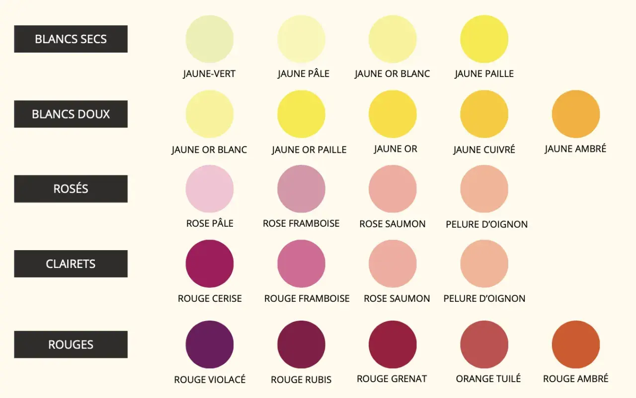 Tableau des couleurs de la robe d'un vin : du jaune pâle au rouge ambré, en passant par les rosés et clarets.