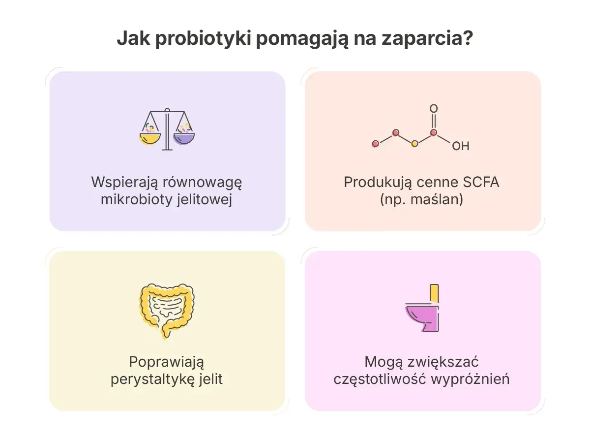 Probiotyk na zaparcia wspiera równowagę mikrobioty, poprawia perystaltykę jelit i może zwiększać częstotliwość wypróżnień.