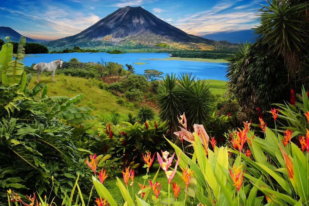 Un caballo blanco pastando cerca de un lago azul y un volcán imponente. ¡Un paisaje perfecto para viajar a Costa Rica!