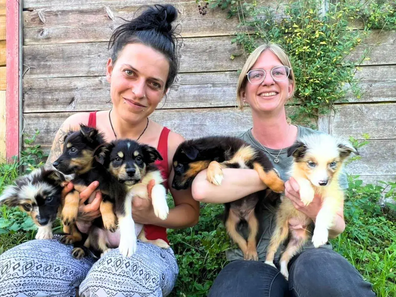 Zwei Frauen halten jeweils mehrere niedliche Welpen. Sie lächeln und wirken glücklich, als ob sie sich über die kleinen Hunde freuen, die sie auch in Not gerettet haben könnten.