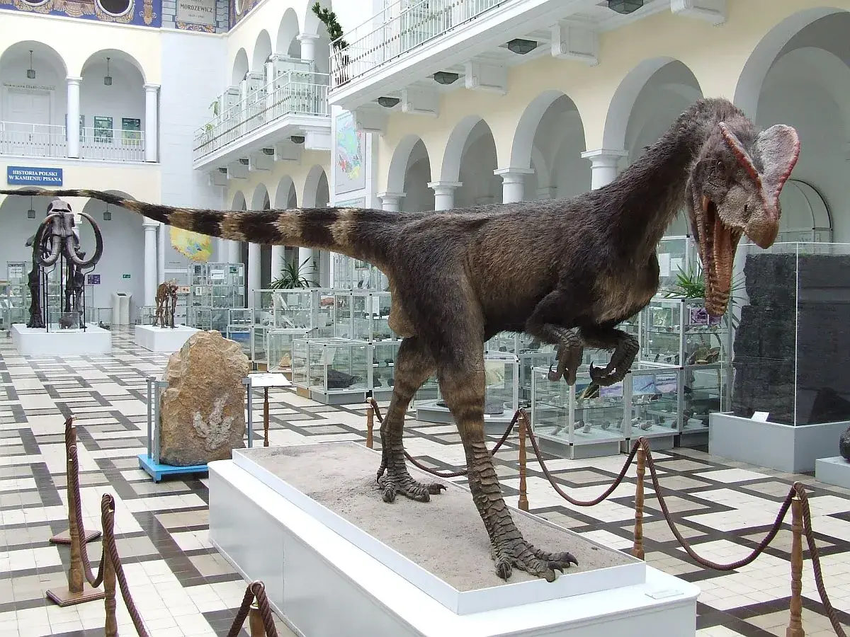 Dinozaur w Muzeum Geologicznym w Warszawie. W tle mamut i gabloty z eksponatami.