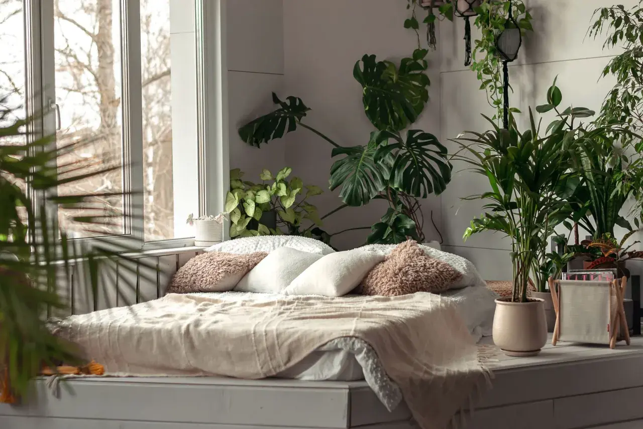Un lit douillet dans une chambre remplie de verdure, avec un grand monstera dominant la scène.