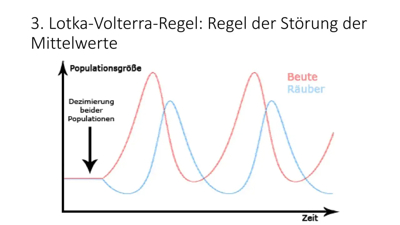 Lotka-Volterra-Modell: Räuber-Beute-Dynamik zeigt zyklische Schwankungen der Populationsgrößen.