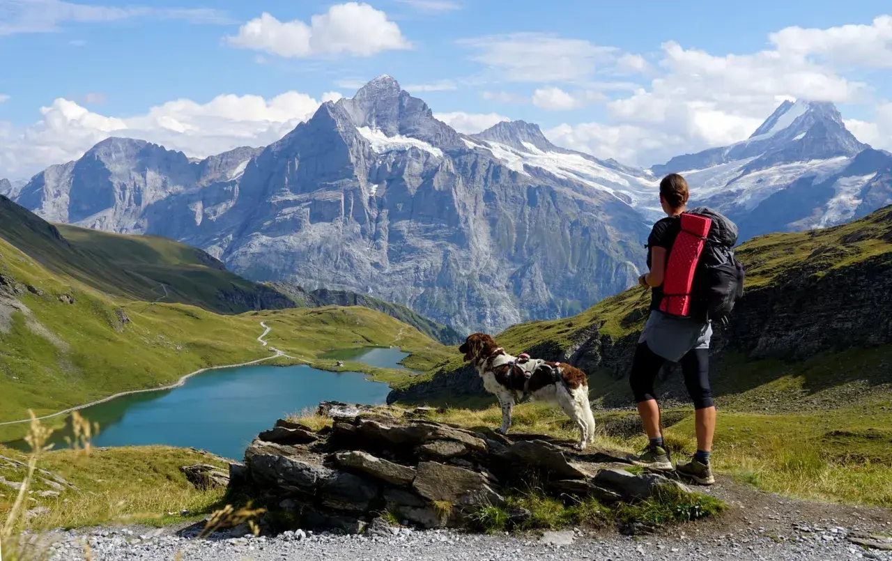 Wanderer mit Hund genießen atemberaubende Aussicht im Berner Oberland. Bergpanorama mit Seen und Gipfeln.