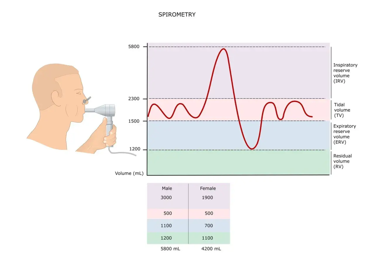 Ilustracja przedstawia badanie spirometria. Mężczyzna wykonuje pomiar objętości płuc za pomocą spirometru. Wykres pokazuje zmienność oddechu.