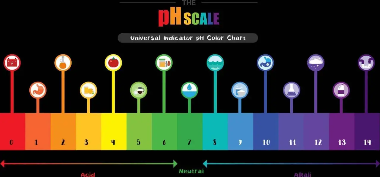 Die pH-Wert-Skala zeigt mit Farben und Symbolen von sauer (rot) über neutral (grün) bis alkalisch (lila) die Säuregrade verschiedener Substanzen.
