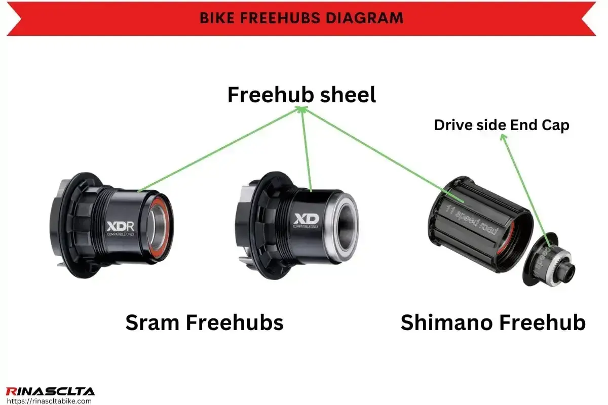 Porównanie różnych rodzajów bębenków rowerowych: SRAM XDR, SRAM XD i Shimano.