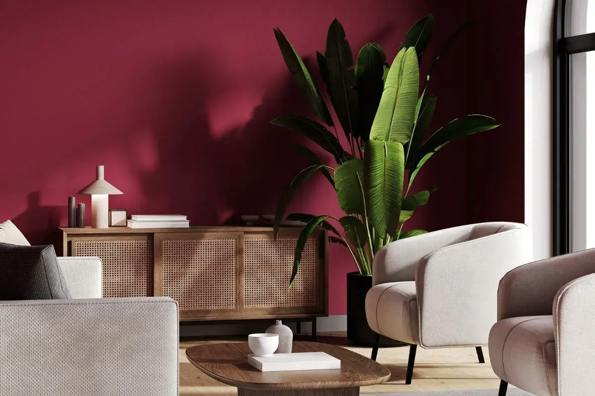 Elegancki salon z meblami w odcieniu burgundowym. Duża roślina w donicy obok jasnych foteli.