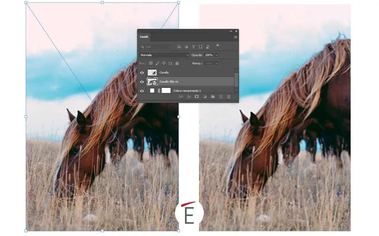 Un cavallo al pascolo, con pannello livelli di Photoshop aperto, mostra la modifica di un file in formato psb.
