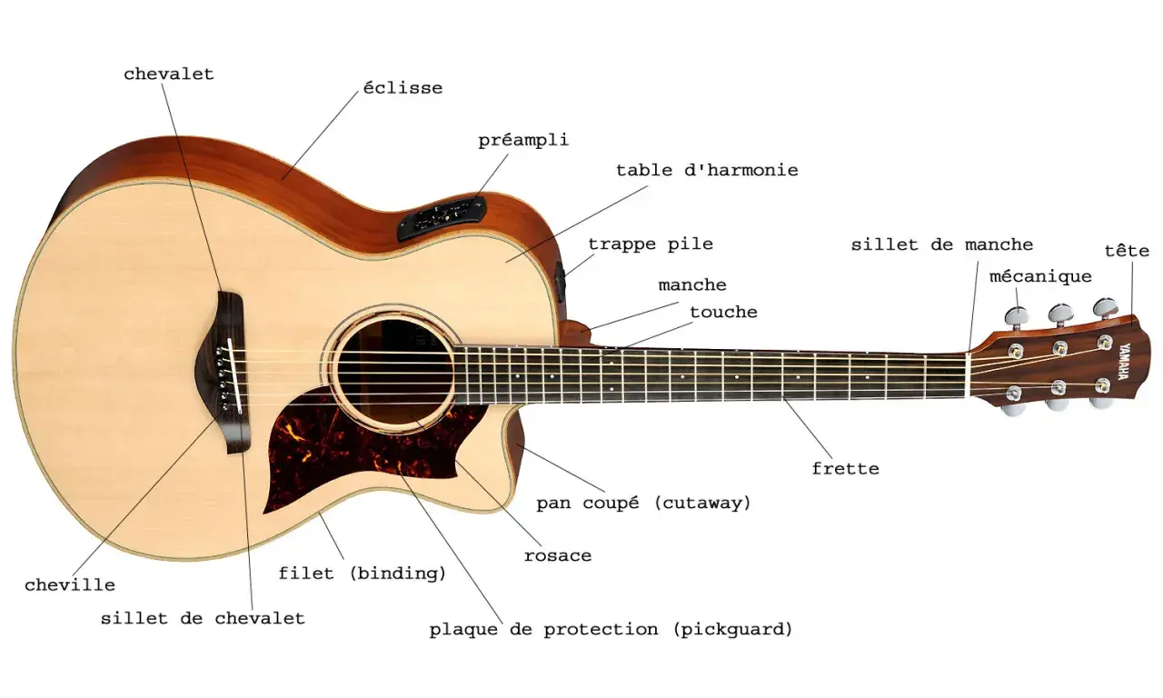 Guitare acoustique avec étiquettes identifiant ses parties : chevalet, table d'harmonie, manche, etc. Idéal pour la prise de son guitare acoustique.