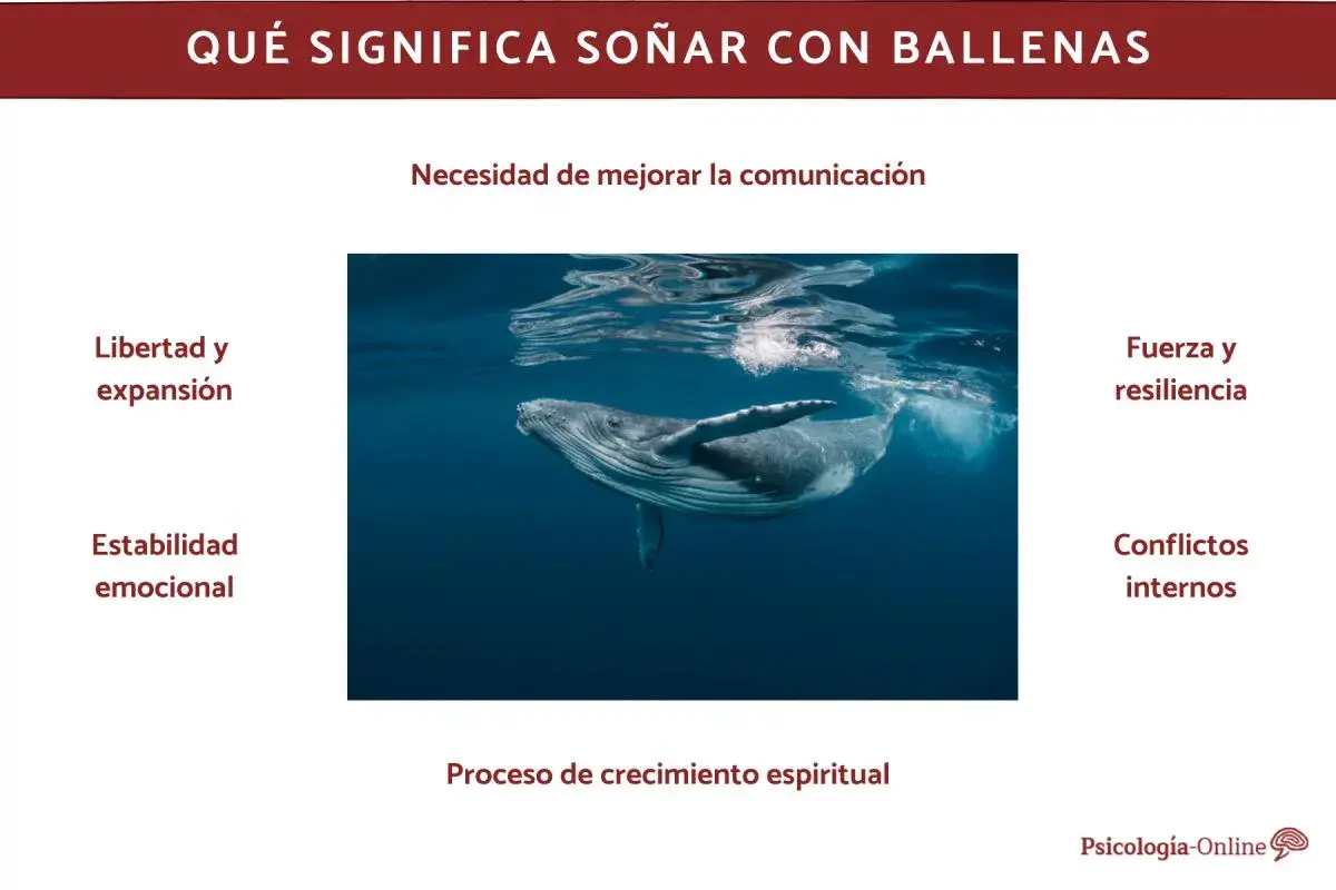 Una ballena majestuosa nada bajo la superficie, simbolizando la libertad y el crecimiento espiritual. Soñar con ballenas puede indicar la necesidad de mejorar la comunicación.