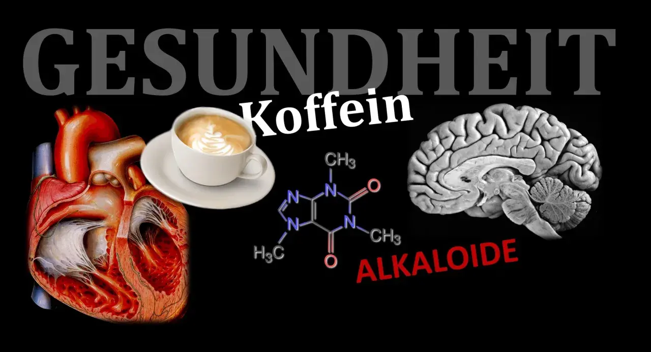Herz, Gehirn und Kaffeetasse: Wie Koffein auf unseren Körper wirkt. Die chemische Formel zeigt, wie Koffein ziehen kann.