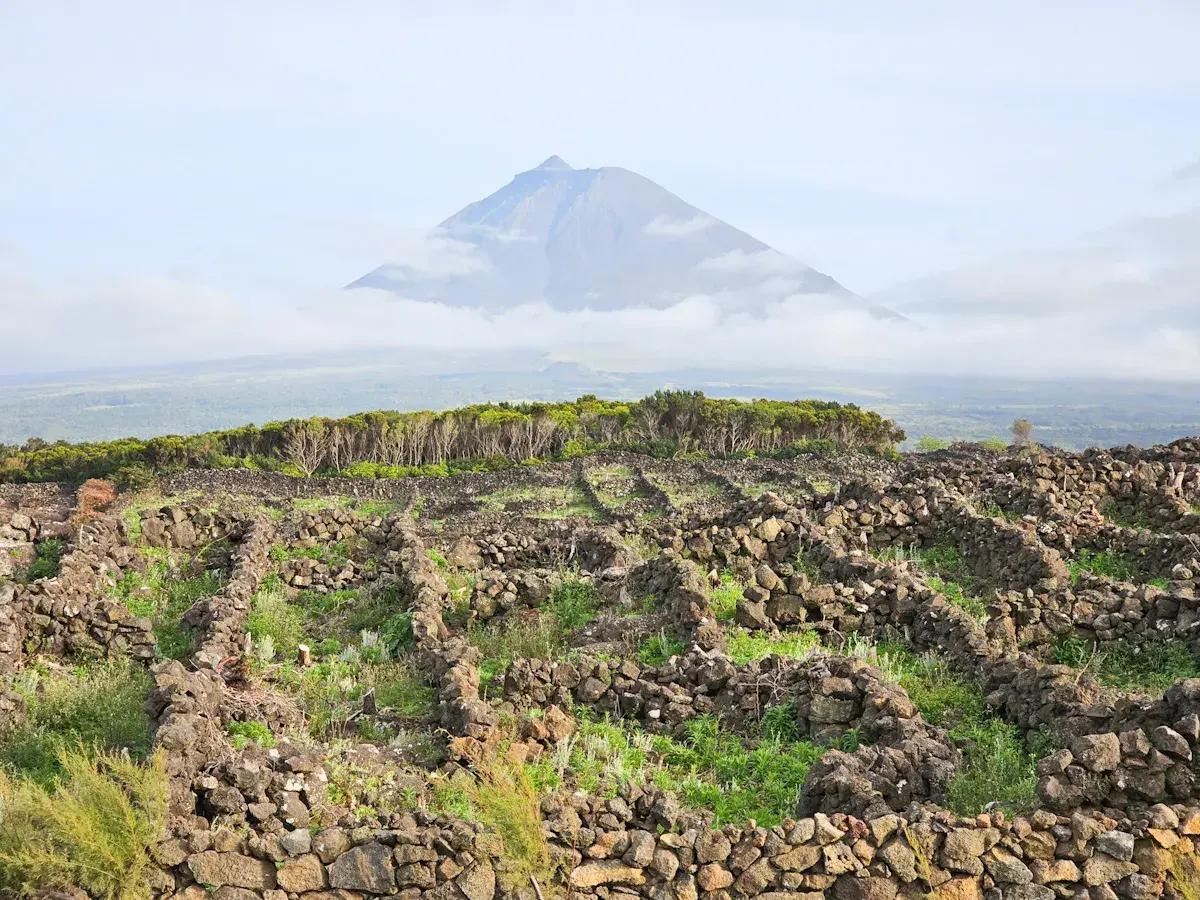 Kamienne mury winnic na Azorach, przygotowanie do wejścia na najwyższy szczyt Azorów, Mount Pico.