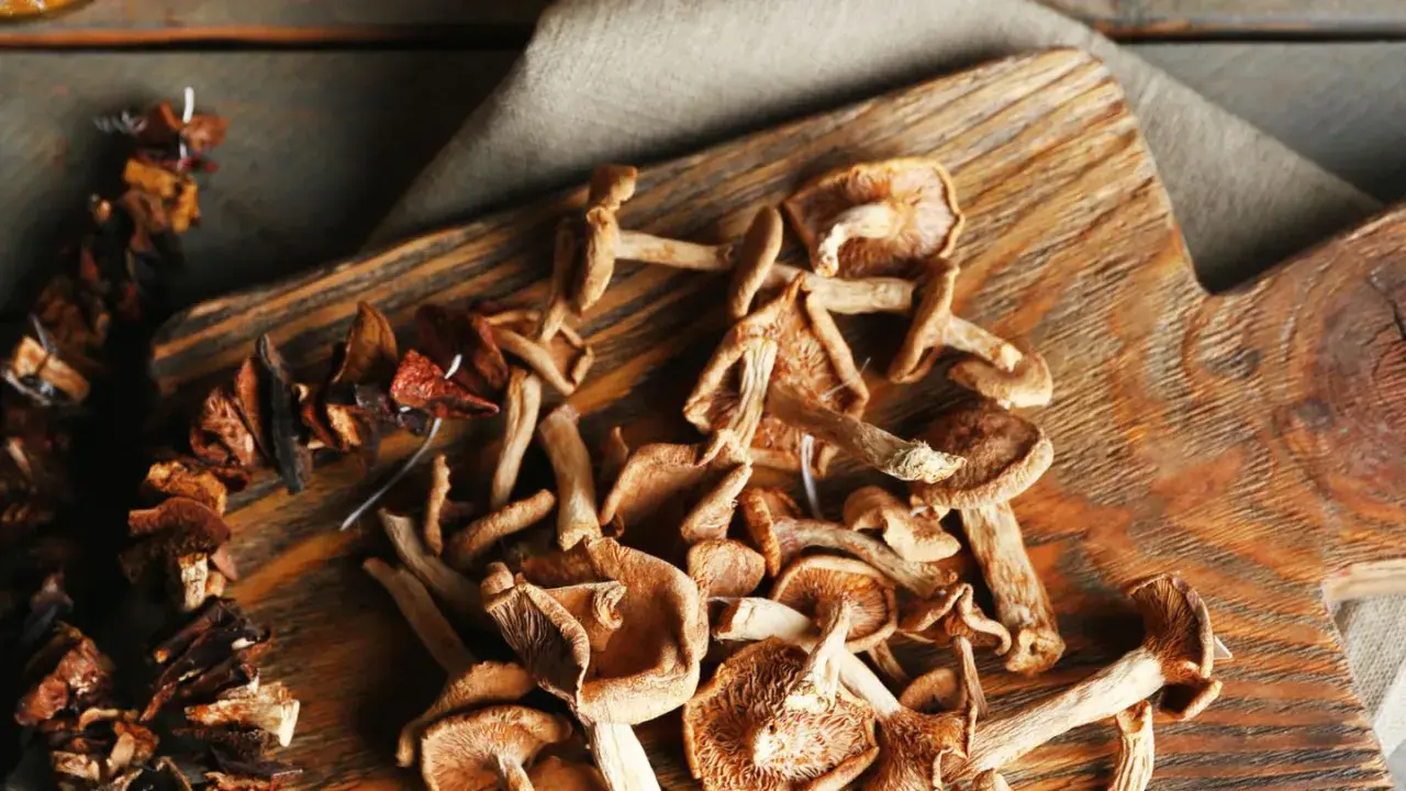 Getrocknete Pilze auf einem Holzbrett, bereit zum Kochen. Das Trocknen von Pilzen ist eine tolle Methode, um ihren Geschmack zu konservieren.