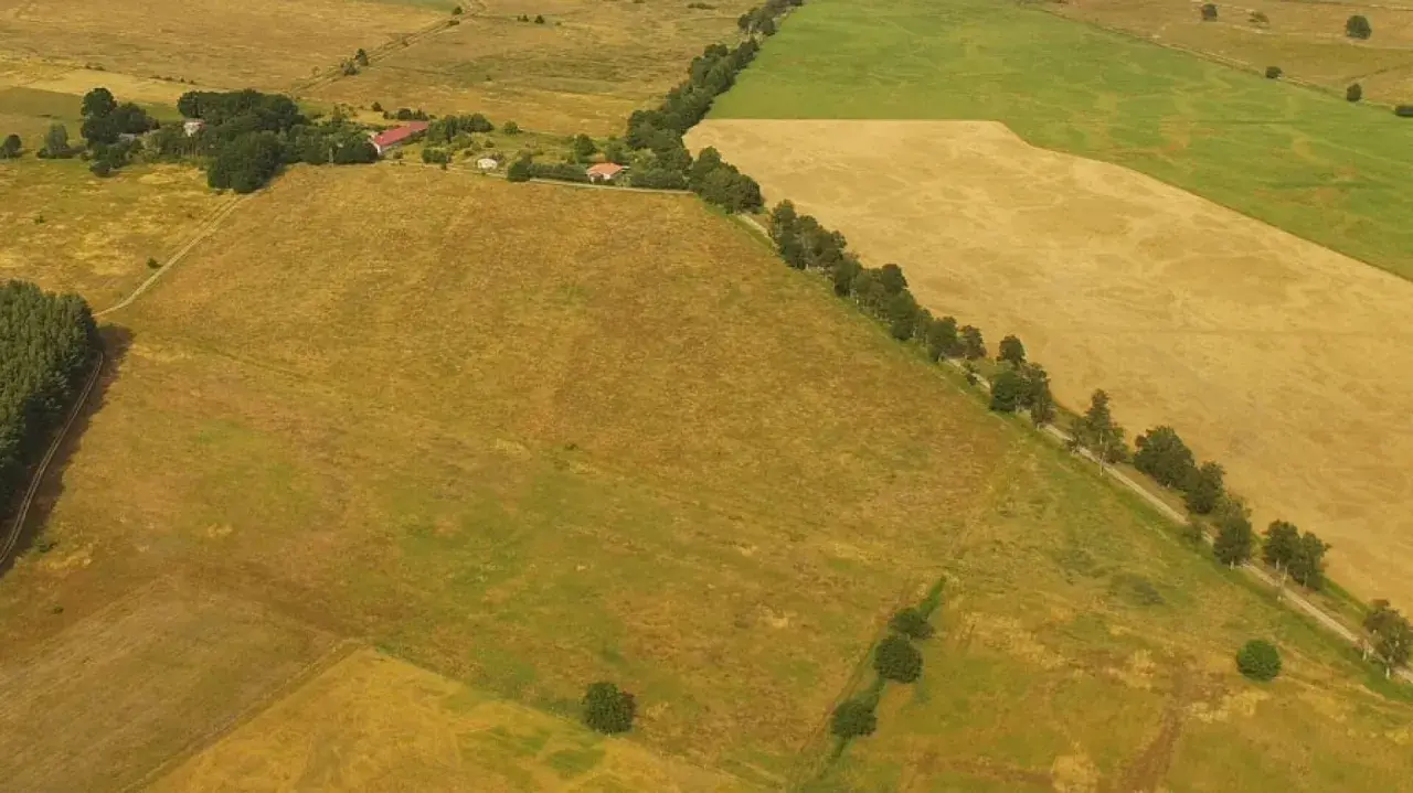 Widok z lotu ptaka na pola uprawne i zadrzewienia. Widać ślady po niwelacji terenu, przygotowujące go pod nowe uprawy.