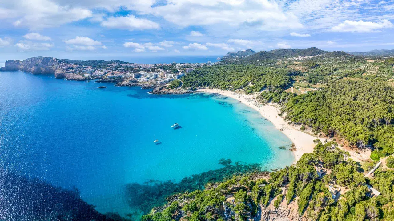 Traumhafter cala ratjada strand mit türkisfarbenem Wasser, weißen Sandstränden und grünen Pinienwäldern. Boote ankern im Meer.
