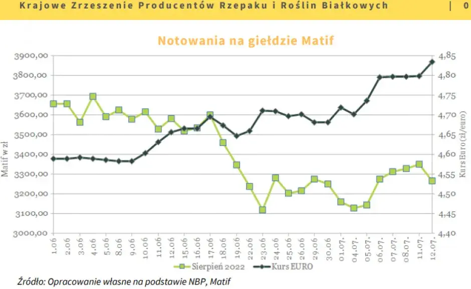 Rzepak w skupie 2026: Jak uzyskać najlepszą cenę?
