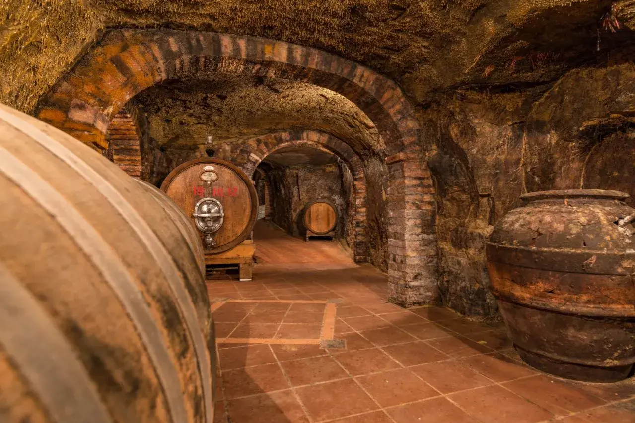 Cantina sotterranea con botti di legno e anfora antica, un viaggio sensoriale a Colle Santa Mustiola.