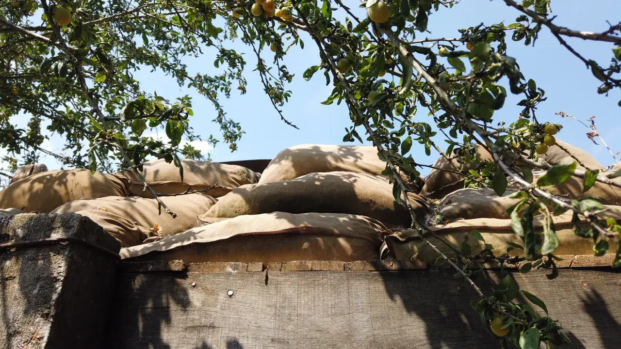 Sacs de sable empilés, rappelant les tranchées. Combien reste-t-il de survivants de la Première Guerre mondiale ? L'arbre fruitier au-dessus symbolise la vie qui continue.