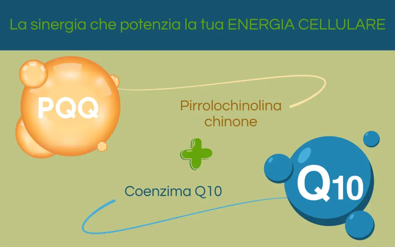 PQQ (Pirrolochinolina chinone) e Coenzima Q10: la sinergia che potenzia la tua energia cellulare.