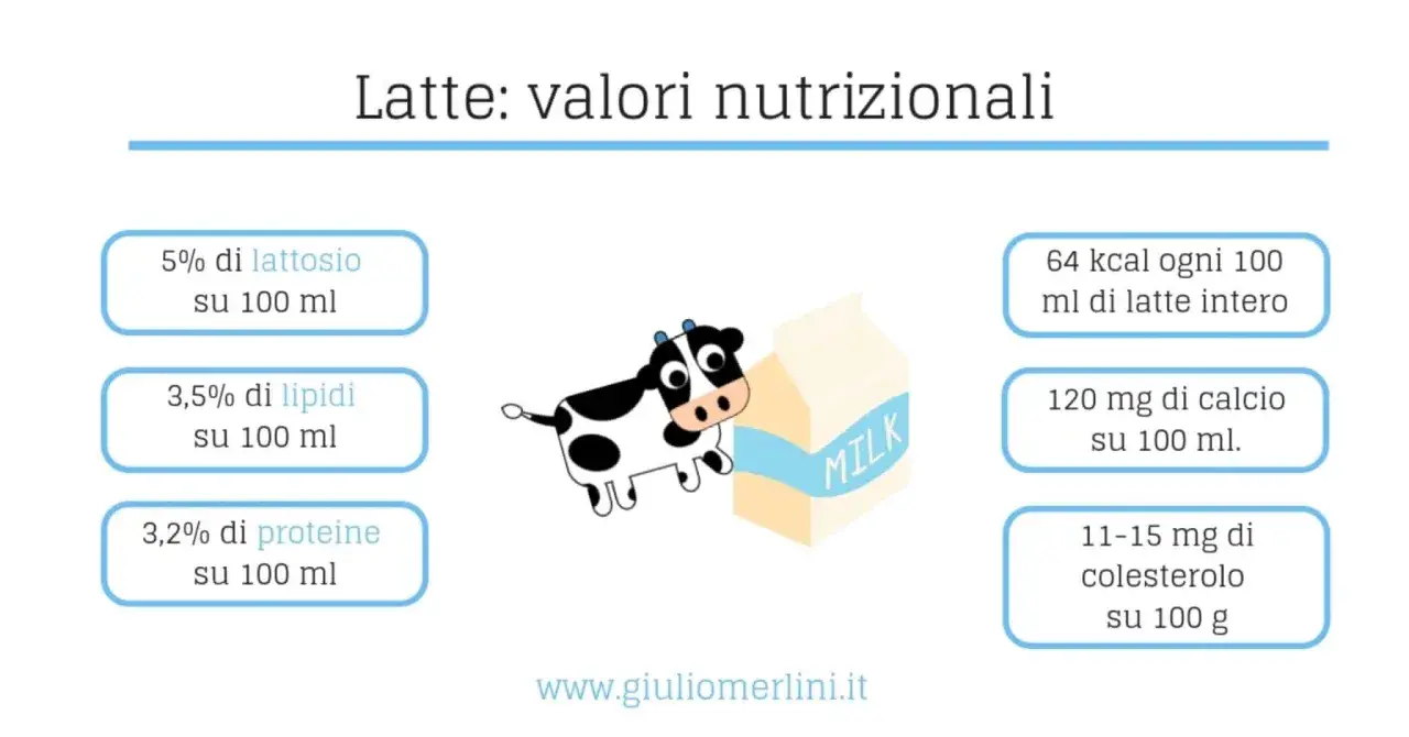 Latte intero valori nutrizionali: 64 kcal, 3,5% lipidi, 3,2% proteine, 5% lattosio, 120mg calcio e 11-15mg colesterolo per 100ml/g.