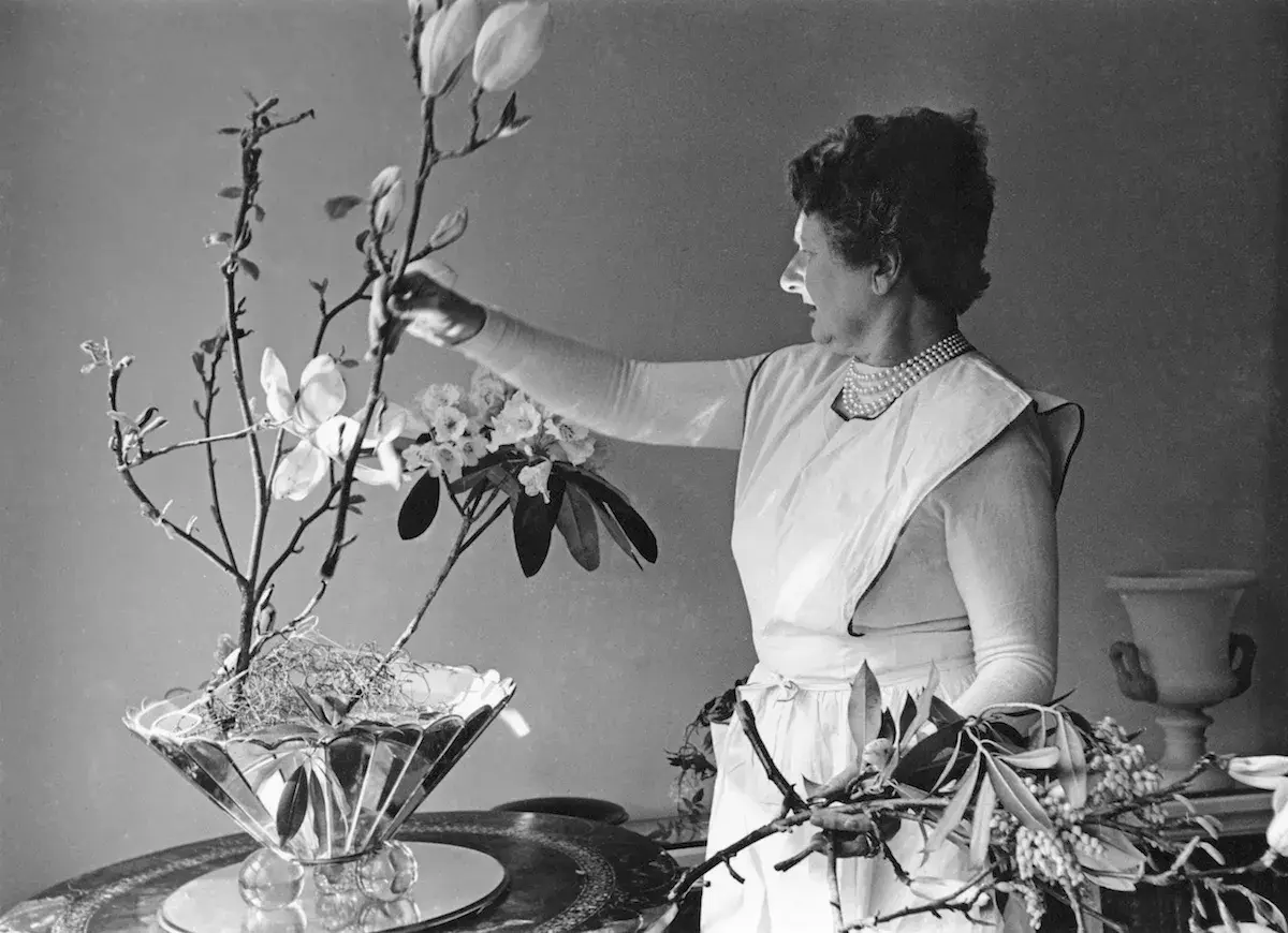Constance Spry, en pionjär inom blomsterkonst, arrangerar magnoliagrenar och rhododendron i en elegant vas.