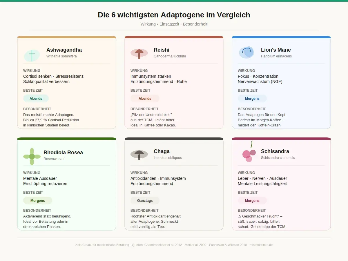 Vergleich der 6 wichtigsten Adaptogene: Ashwagandha, Reishi, Lion's Mane, Rhodiola Rosea, Chaga, Schisandra. Eine adaptogene Liste für verschiedene Bedürfnisse.