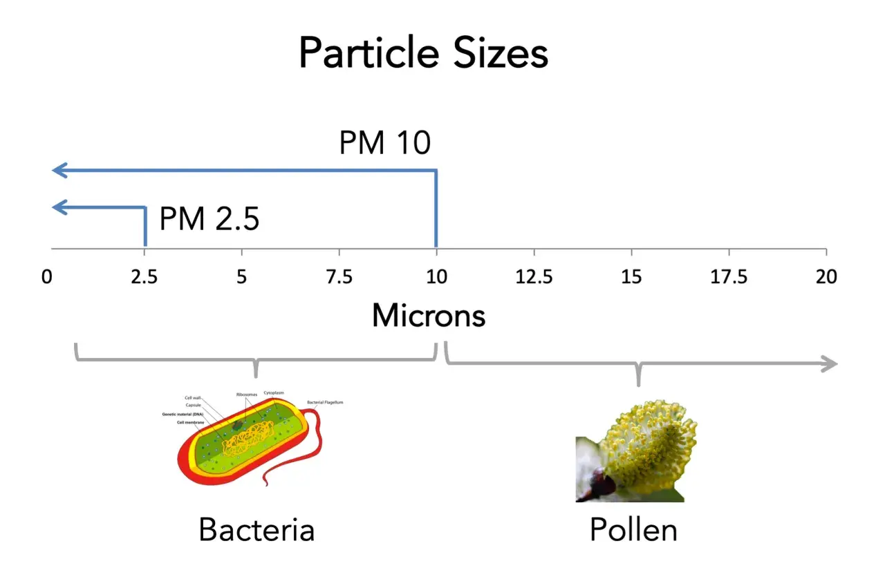 PM10 co to? Wykres porównuje rozmiary cząstek: PM2.5 (do 2.5 mikrona), PM10 (do 10 mikronów), bakterie (ok. 1-10 mikronów) i pyłki (ok. 10-50 mikronów).