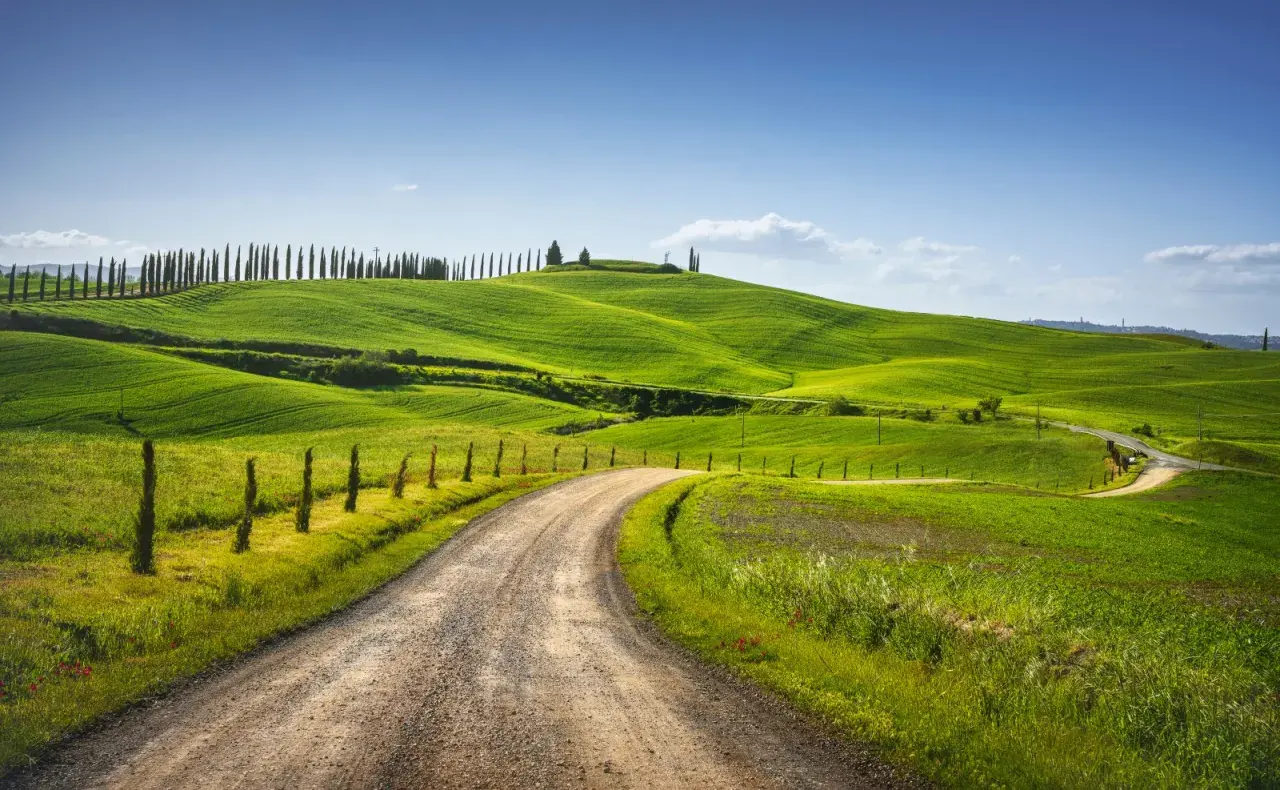 Strada sterrata tra dolci colline verdi in Toscana, un invito a scoprire cosa vedere a Monteroni d'Arbia.