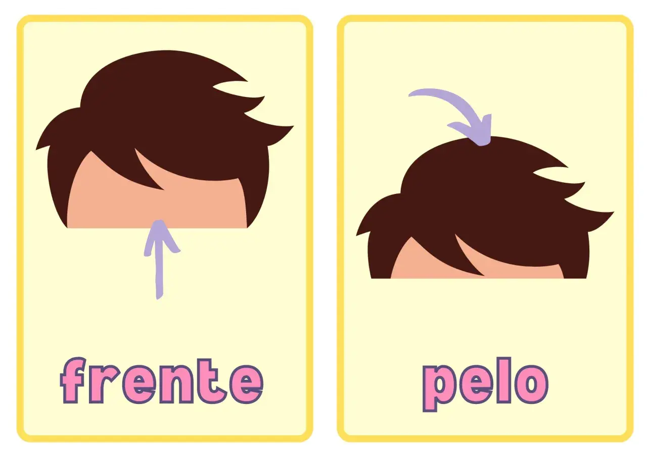 Tarjetas partes del cuerpo para imprimir: "frente" con flecha hacia arriba y "pelo" con flecha indicando la parte superior.